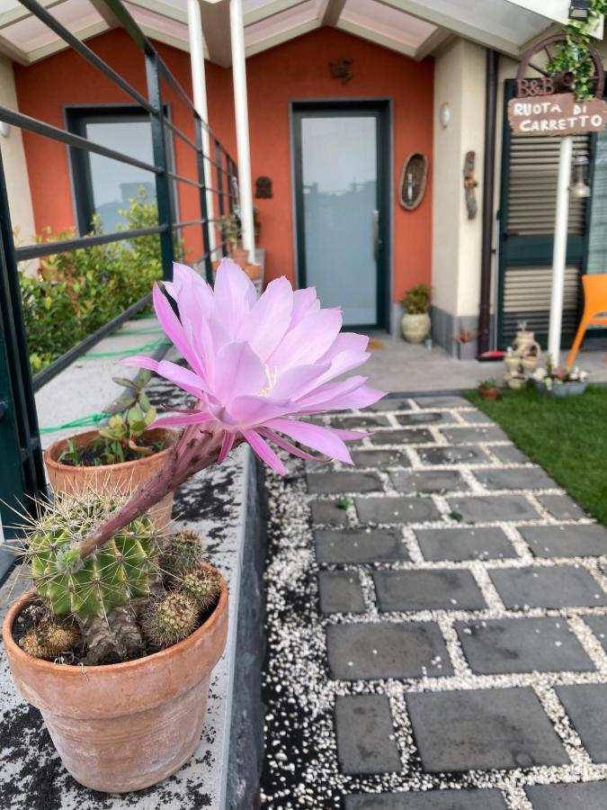 B&B Ruota Di Carretto Nicolosi Zewnętrze zdjęcie